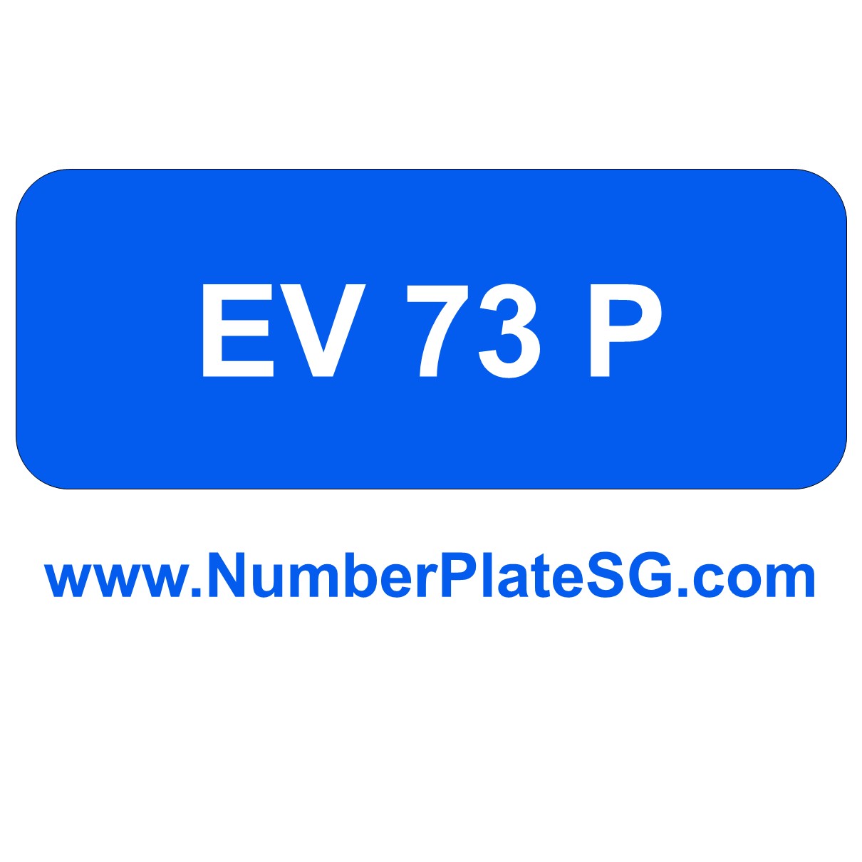 EV 73 P Number Plate SG