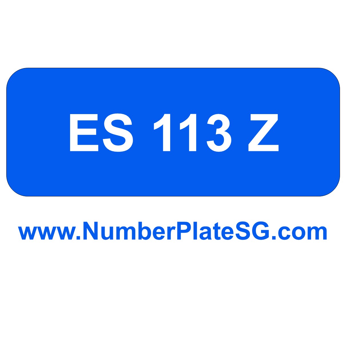 ES 113 Z