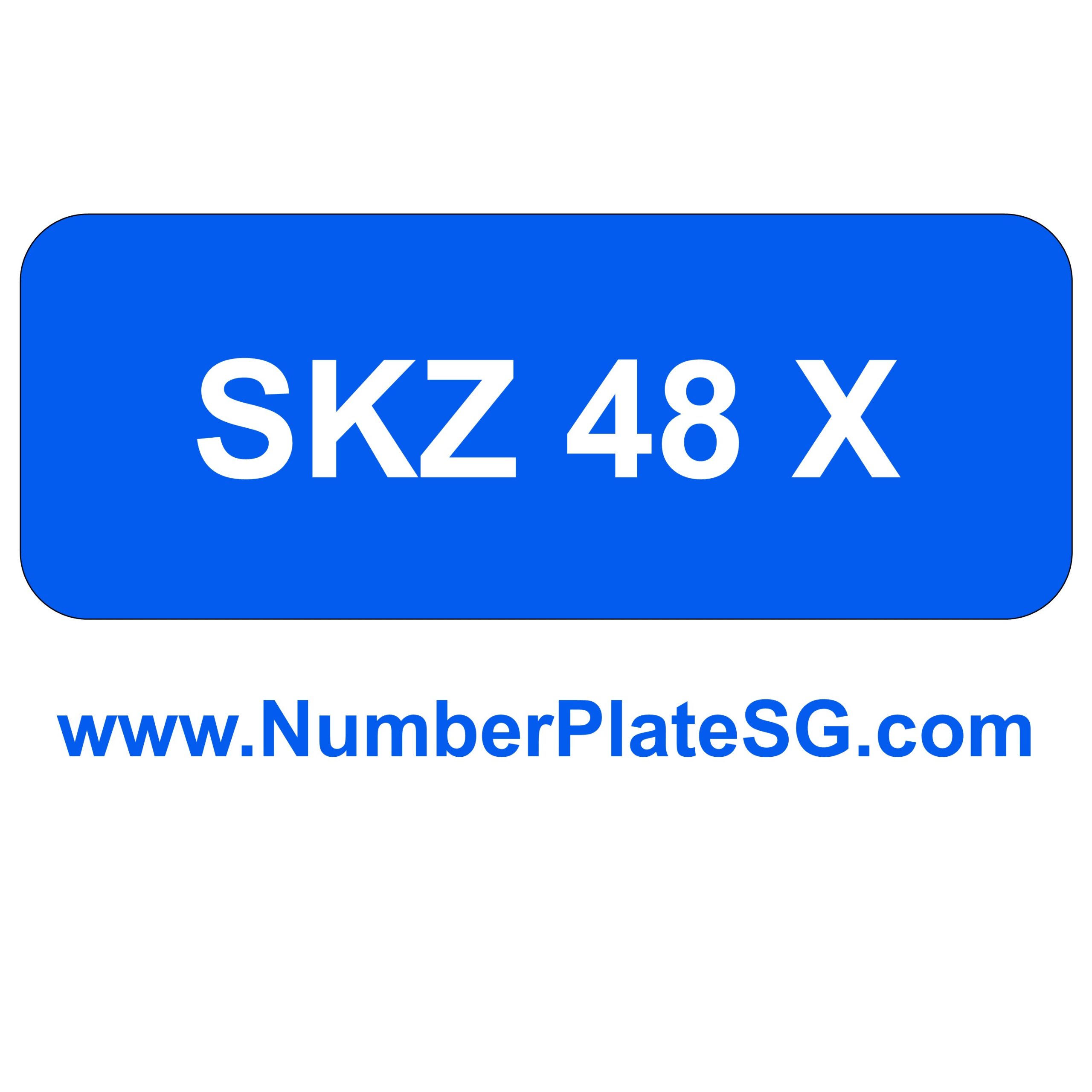 SKZ 48 X