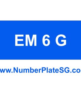EM 6 G