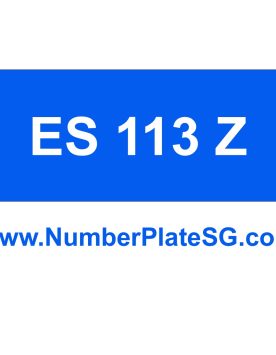 ES 113 Z