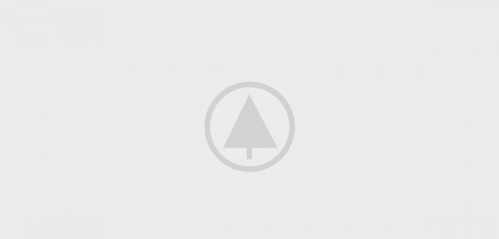 wood-gallery-placeholder-4